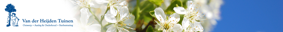Lente bij Van der Heijden Tuinen